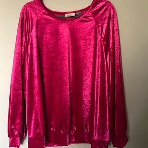 Velvet, long sleeve, top- great condition. Worn once.